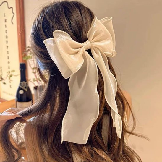 Barrettes cheveux longue