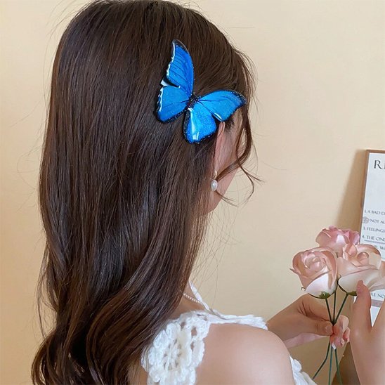Barrette  cheveux   beauté  magnifique