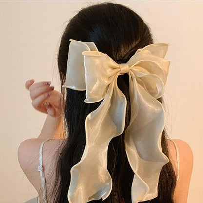 Barrettes cheveux boucle 