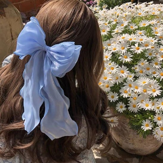 Barrettes cheveux elegante