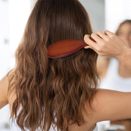 Brosse poil de sanglier brillance 