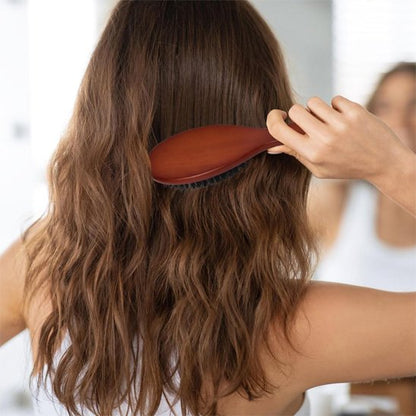 Brosse poil de sanglier brillance 