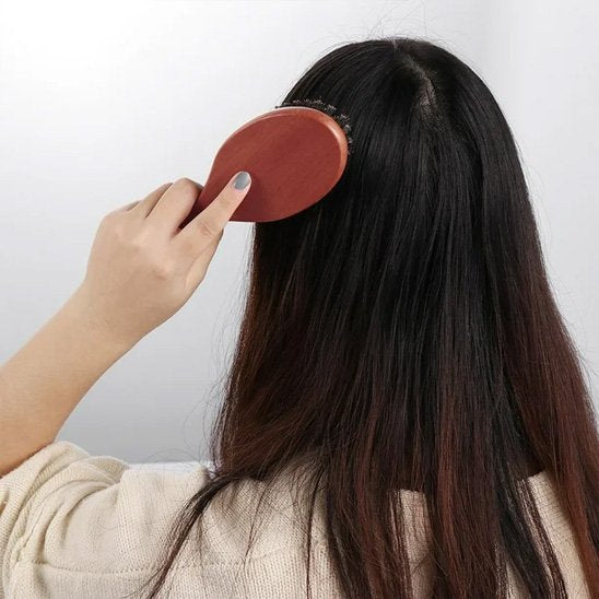 Brosse poil de sanglier naturelle