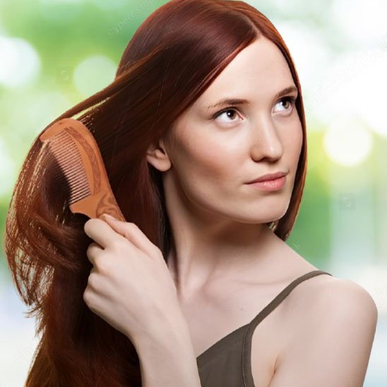 Peigne  à  cheveux   en  bois  épais