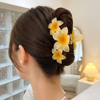 Pince a cheveux femme