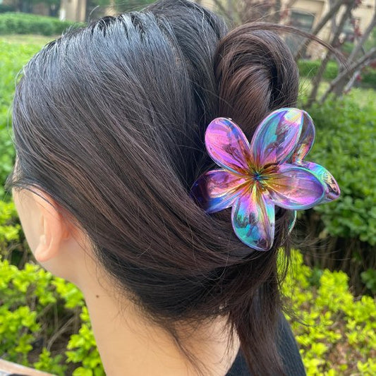 Pince cheveux coloré